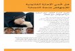 Women's Health & Abortion: Maternal Mortality (Arabic)