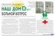 Информационный бюллетень "Наш дом": Мини-газета №9