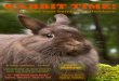 Rabbit Time! Herfst editie september 2014
