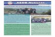 AEDB Notícias 18 - Maio 2013