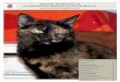 Boletín Trimestral de la Asociación Defensa Felina de Sevilla
