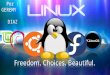 Linux para comunidades