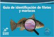 Guía de filetes de pescados y mariscos de Loreto B.C.S