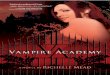 Academia de vampiros livro 1