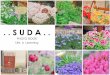 SUDA's Photo book