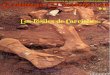 Crónicas Torrichanas 12 Los fosiles de Carriches