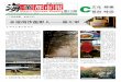 Metro Chinese Weekly | 海华都市报 #410 C