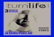 Turn Life 6