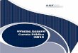 Informe del Resultado de la Fiscalización Superior de la Cuenta Pública 2013