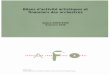 Bilans d'activité artistique et financier des orchestres - AFO
