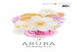 Aruba: The Beauty Issue