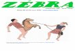 Webzine BD hebdo Zebra #25