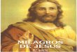 Milagros de Jesus-2