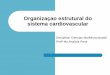 Aula 02 Organizaçao Estrutural Cardiaca
