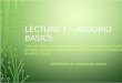 Lecture 1 – Arduino Basics