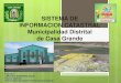 06_SISTEMA DE INFORMACION CATASTRAL_MUNICIPALIDAD CASA GRANDE.pdf