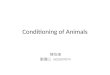 Animal Conditioning