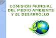 Comision Mundial del Medio Ambiente