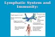 Lymphatic System and Immunology