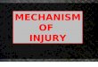 2. Mechanism of Injury