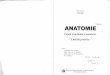 Anatomie Peretii Trunchiului Si Membrele G Lupu 1 PDF