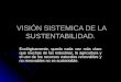 1.4 vision sistemica de la sustentabilidad 1.4.ppt