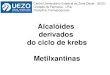 Alcalóides Ciclo de Krebs e Metilxantinas