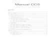 Manual CCS