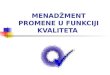 Ivan Perić - Menadžment Promene u Funkciji Kvaliteta