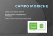 Campo Moriche