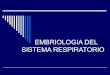 6570627 Embriologia Del Sistema Respiratorio