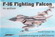 F-16 Fighting Falcon in Action 196（F-16“战隼”(Fighting.falcon)战斗机图册）