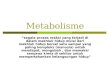 Metabolism e 11