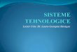 Sisteme-tehnologice Cap1 Online