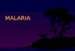 Penyuluhan Malaria PKM SOOKO