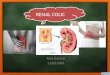Ppt Renal Colic