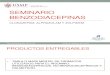 SEM4-SEMINARIO BZP.pdf