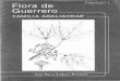 Flora de Guerrero, Familia Araliaceae_A. R. López Ferrari
