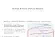 6-7. Sintesis Protein (Trankripsi- Translasi) Fix