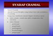 Sy Araf Cranial