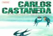 2- Carlos Castaneda - Bir Başka Gerçeklik (Cs)