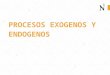 Procesos Exogenos y Endogenos