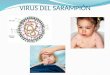 Virus Del Sarampion