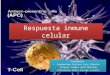 Inmunidad Celular