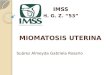 Miomatosis Uterina-hgz 53