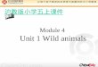 Module 4 Unit 1 Wild animals 沪教版小学五上课件 Topic:Animals Language focus: 1.Vocabulary: 1) Using nouns to identify animals: e.g. pigs,birds etc. 2) Teach
