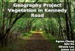 12/9/15 Geography Project Vegetation in Kennedy Road Agnes Chung Kiki Ho Winnie Lee Jenna Lui