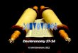 Deuteronomy 27-34 © John Stevenson, 2012. 1:1Preamble 1:6 Historical Prologue 5:1Stipulations 12:1 Ten Commandments Related Commandments 27:1 Blessings