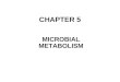 CHAPTER 5 MICROBIAL METABOLISM. Energy –Chemical work –Transport work –Mechanical work Laws of thermodynamics –1 st –2 nd – entropy