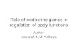 Role of endocrine glands in regulation of body functions Author ass.prof. N.M. Volkova